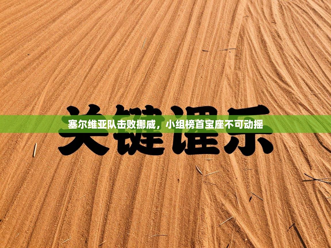 塞尔维亚队击败挪威，小组榜首宝座不可动摇  第1张