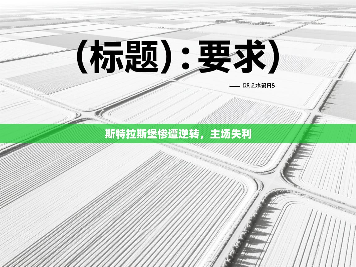 斯特拉斯堡惨遭逆转，主场失利  第1张