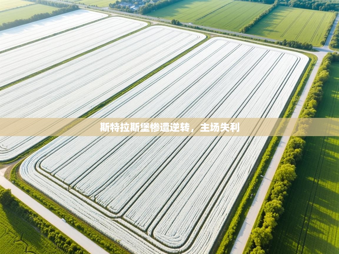 斯特拉斯堡惨遭逆转，主场失利  第2张