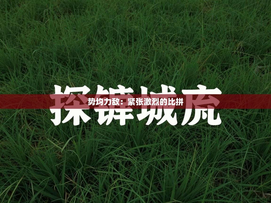 势均力敌:紧张激烈的比拼 第1张